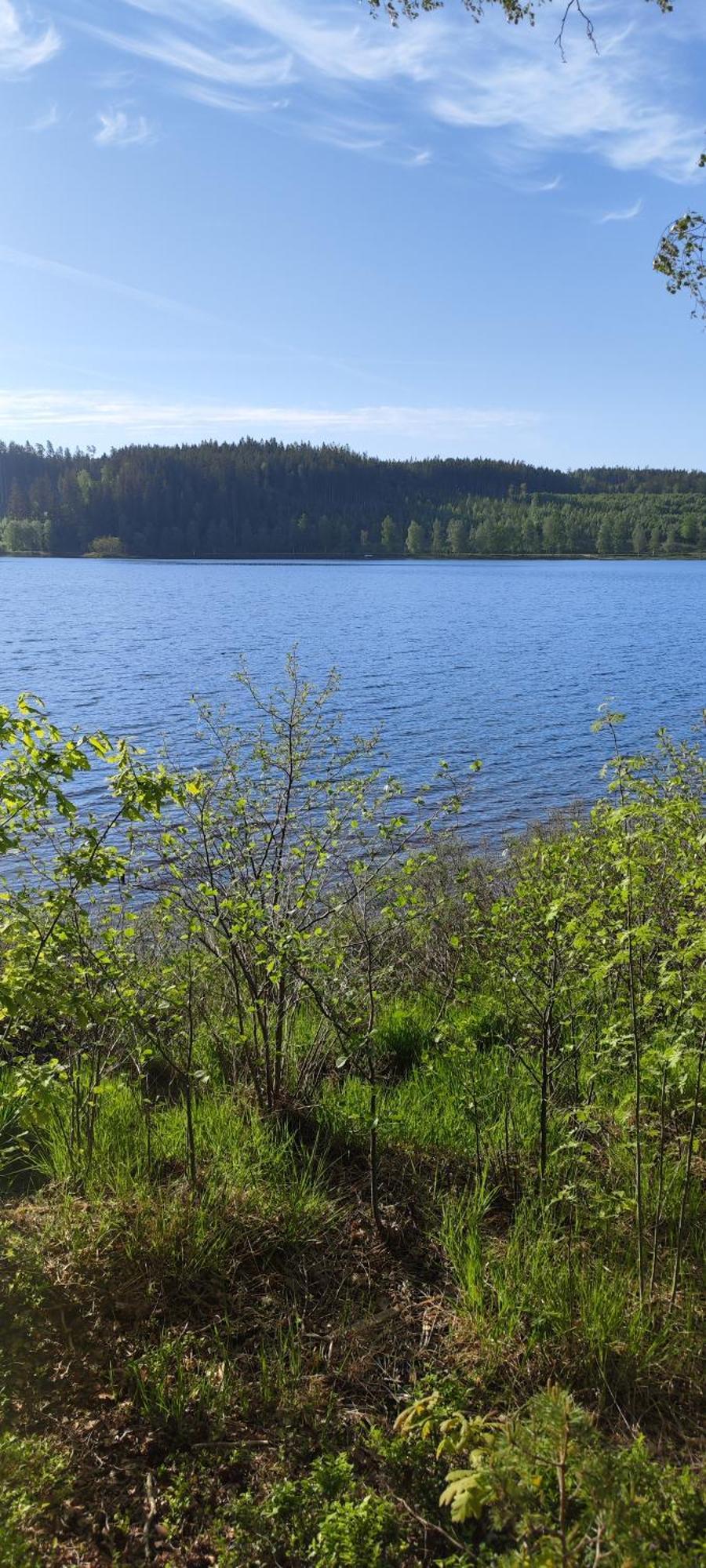 Hela Boendet Uthyres Överlida Exterior foto